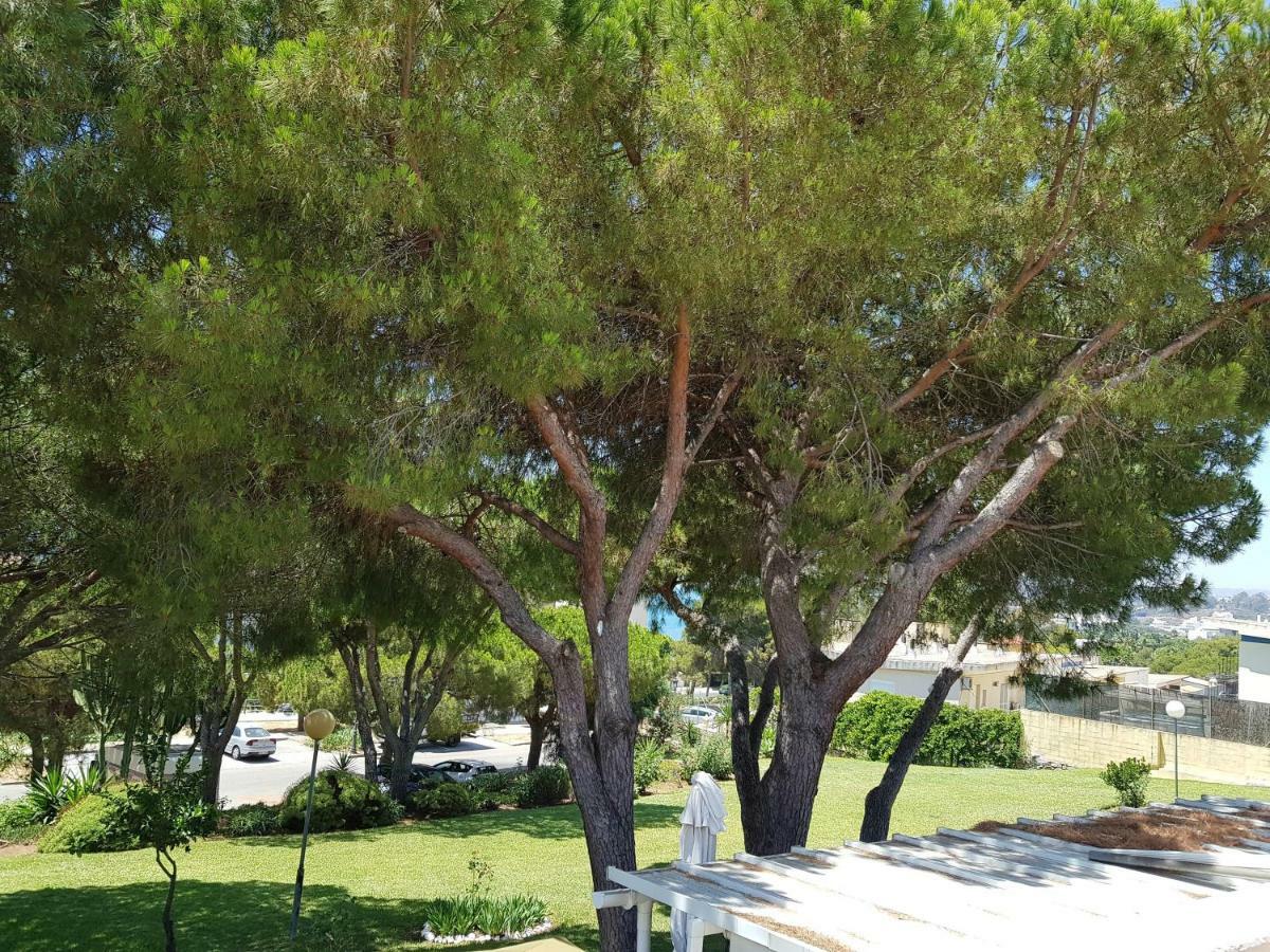 Lugar De La Luz Lägenhet Estepona Exteriör bild
